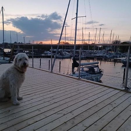 Hausboot Gluecksmomente Mit Dachterrasse In Schleswig Am Ostseefjord Schlei ภายนอก รูปภาพ