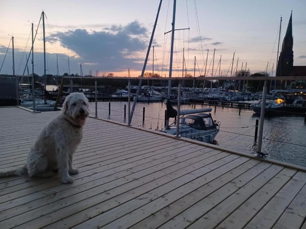Hausboot Gluecksmomente Mit Dachterrasse In Schleswig Am Ostseefjord Schlei ภายนอก รูปภาพ